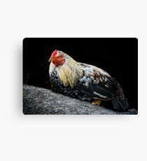 A part of a pair Canvas Print