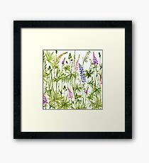 Watercolor lupin Framed Print