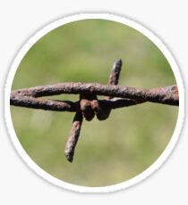 Circled Wire Sticker