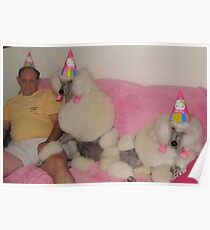cursed poodle Poster