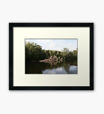 Habitat Framed Print