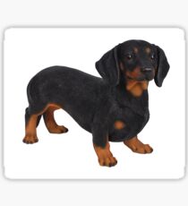 Adorable dachshund Sticker