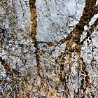 «Ondulaciones en el tiempo» de Vicki Spindler (VHS Photography)