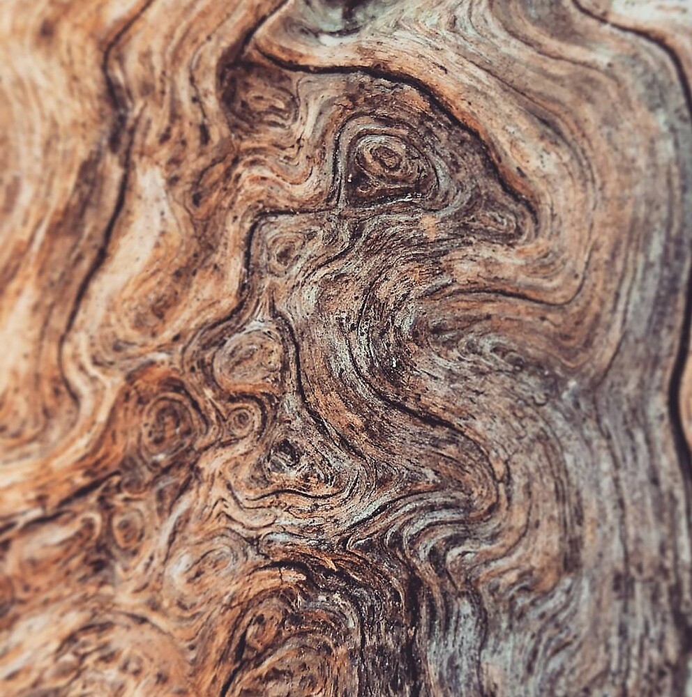 “Worm Wood” by RachelFrances | Redbubble