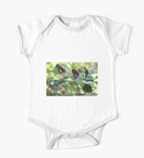 Butterfly beauties One Piece - Short Sleeve