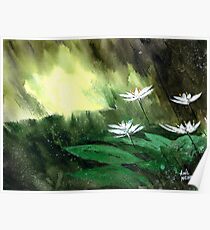 White Flowers Poster