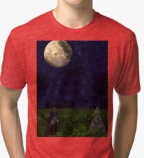 Princess Sernity and Prince Darien under the moon Tri-blend T-Shirt