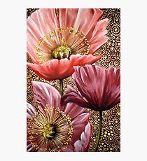 Three Pink Poppies Photographic Print
