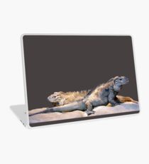 Dragons Laptop Skin