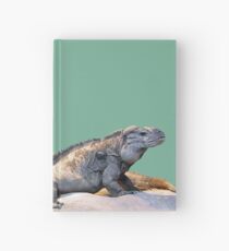 Dragons Hardcover Journal