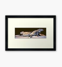 Dragons Framed Print