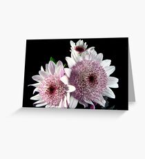 Miniature Dahlias Greeting Card
