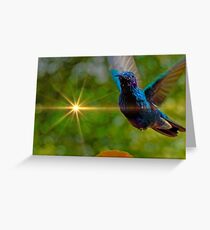 My Buddy, Tom Thumb Greeting Card