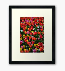 Flowers Framed Print