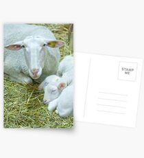 Mother and her twins Postcards