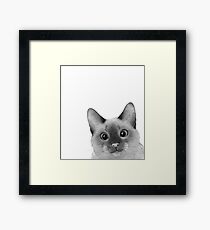 Siamese sneak-a-peek Framed Print