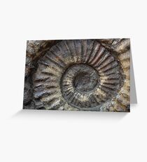 Ammonite Greeting Card