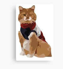 hapi kitty Canvas Print