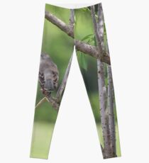 Mockingbird Leggings