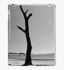 Stark iPad Case/Skin