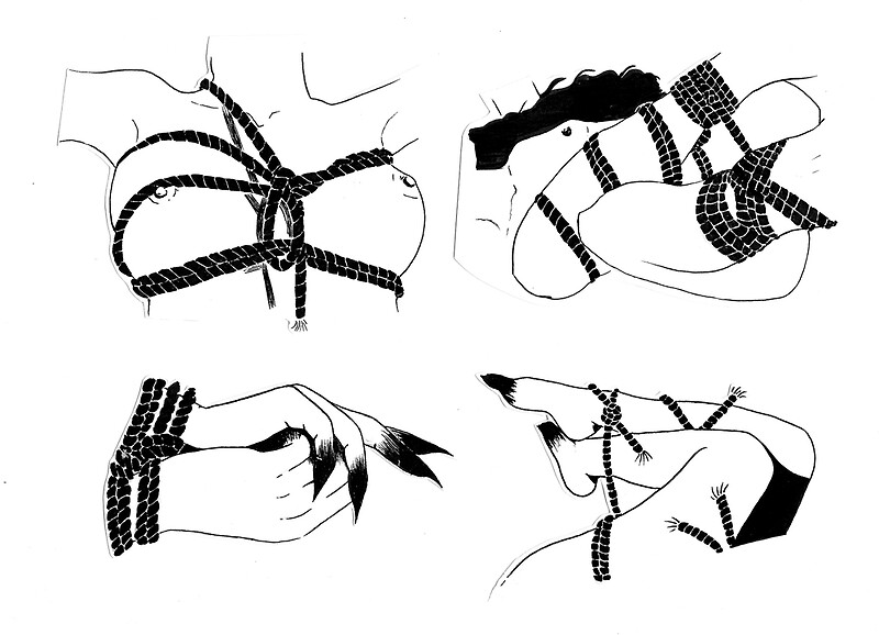 shibari bdsm bondage illustration ink girls cutegirls knots. 