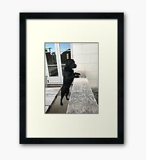 Black Labrador Standing Framed Print