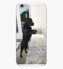Black Labrador Standing iPhone Case