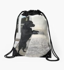 Black Labrador Standing Drawstring Bag