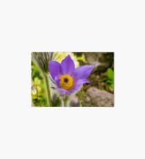 Flower macro Art Board