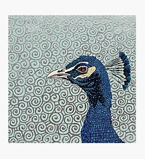 As Proud As A Peacock Photographic Print