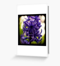 hyacinth TtV Greeting Card