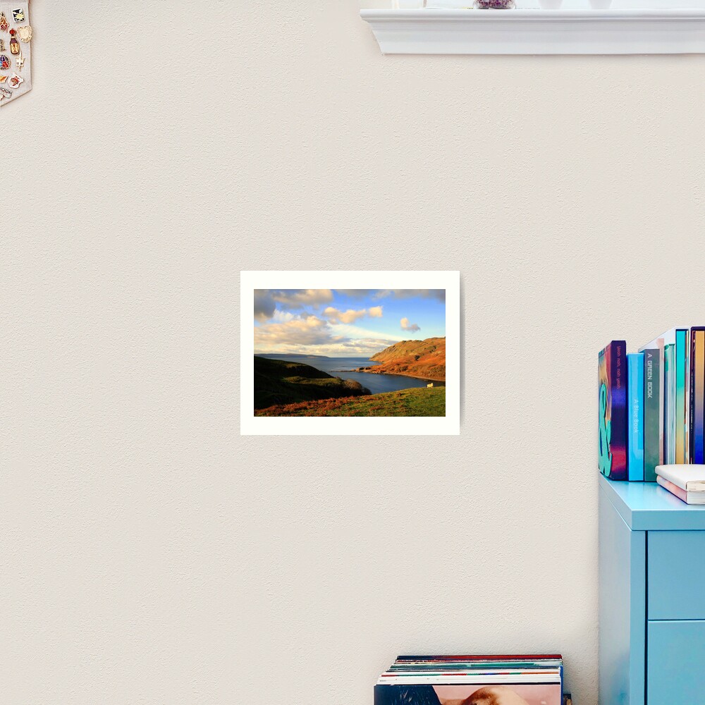 Ardnamurchan Sheep Art Print