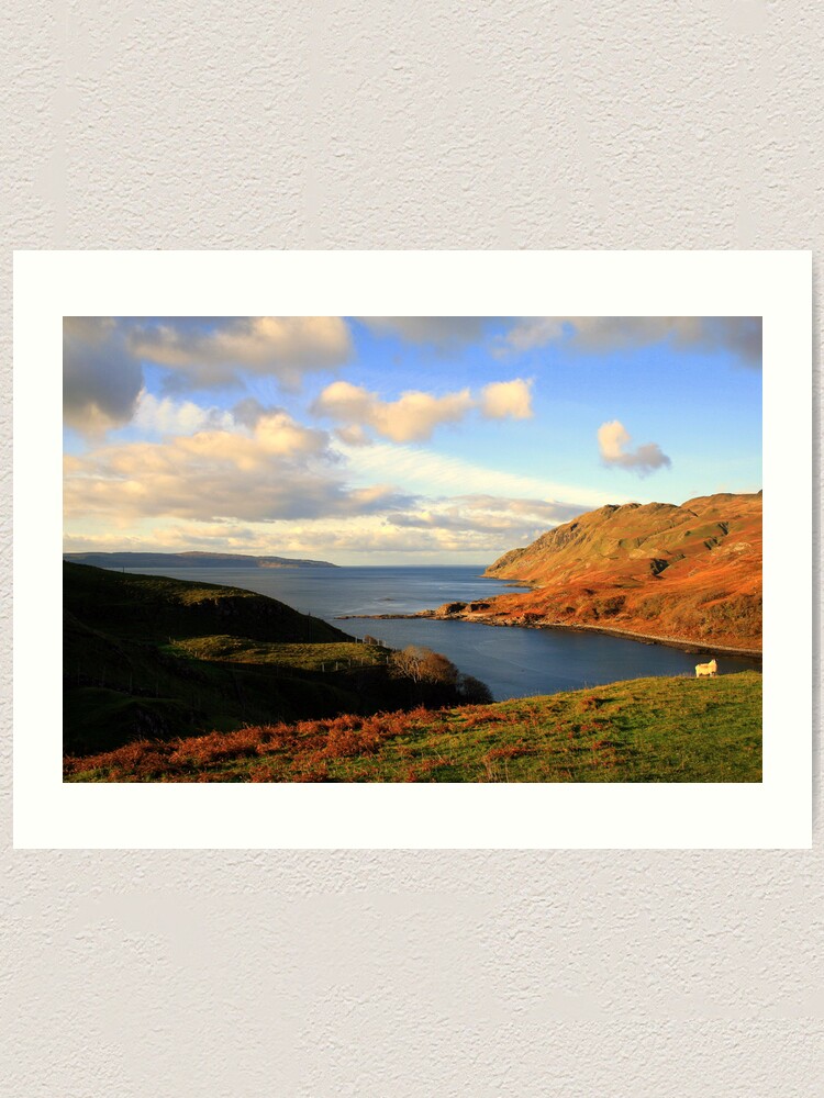 Alternate view of Ardnamurchan Sheep Art Print