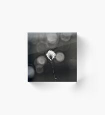 Soft and white Acrylic Block