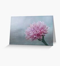 Flower on old vintage color grunge paper background Greeting Card
