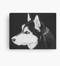 Black and White Husky Canvas Print