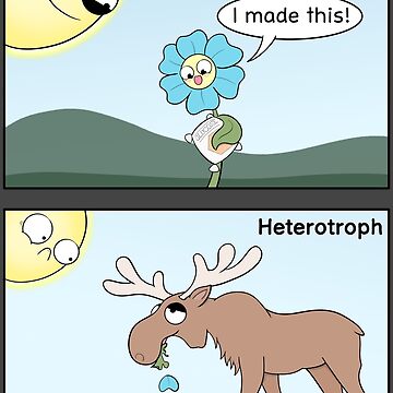 Artwork thumbnail, Autotroph vs Heterotroph by amoebasisters