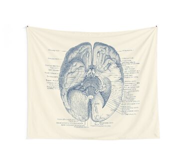 Brain Nervous System Diagram Wall Tapestry
