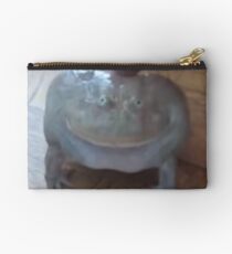 low quality screaming frog Studio Pouch