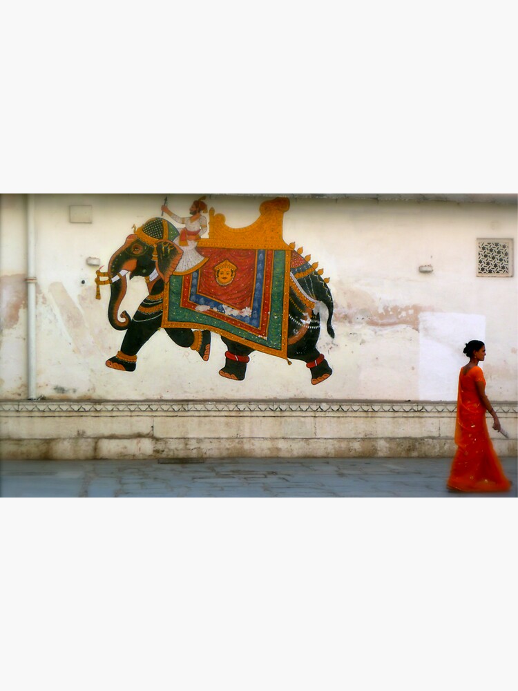 the elephant on the wall by handheld-films