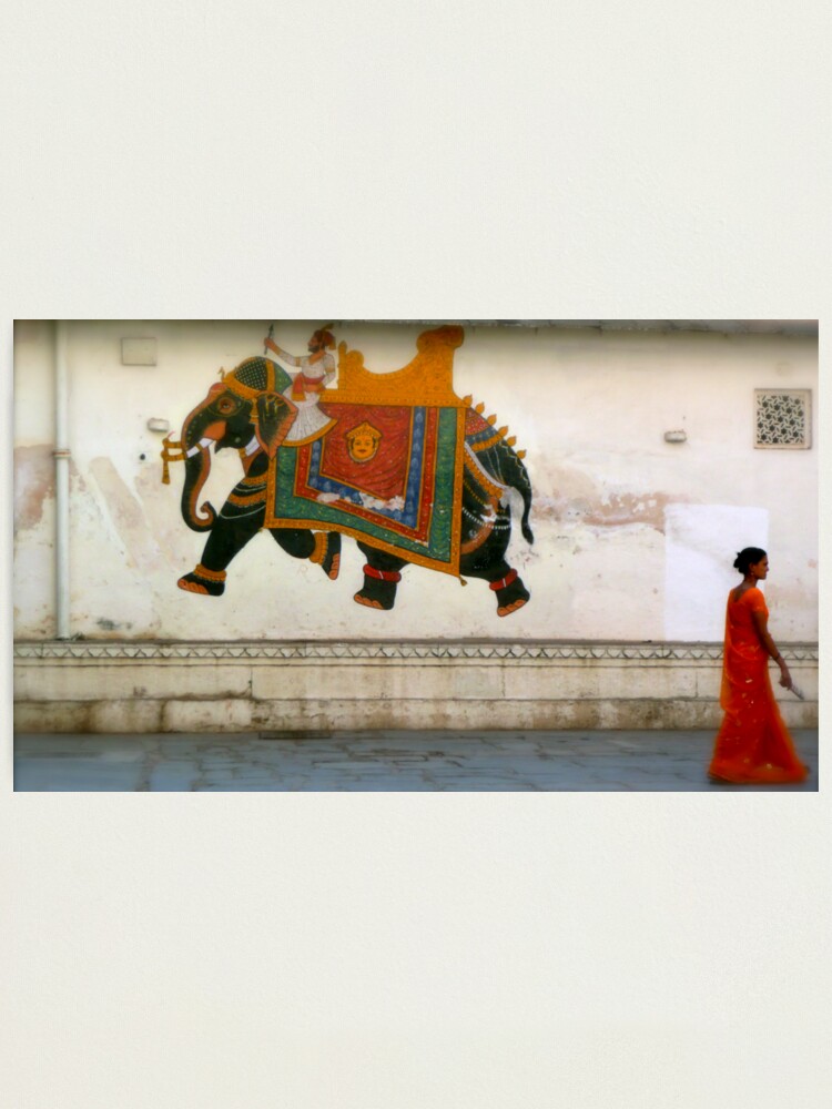 Alternate view of the elephant on the wall Photographic Print