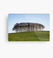 Nearly Home Trees,Cookworthy Knapp Metal Print