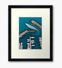 Free Framed Print
