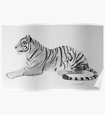 Tiger Poster