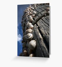 Reaching for the Sky Greeting Card