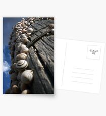 Reaching for the Sky Postcards
