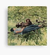 Chilling with the relatives Canvas Print