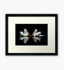 A Pair of Australian Pelicans Framed Print