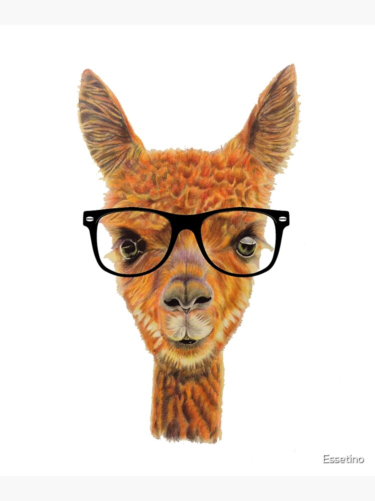 &ldquo;Funny Llama Alpaca Alpacalypse Llamas Alpacas Glasses " Canvas Print
