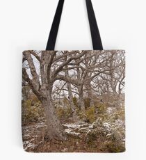 Bare trees Tote Bag